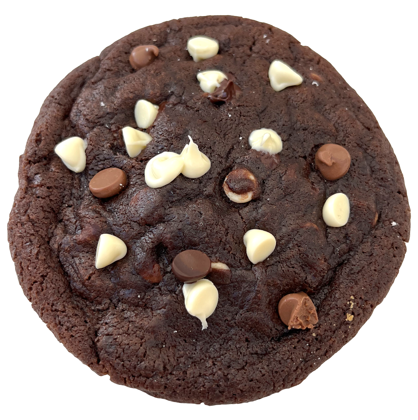Gluten Free Triple Chocolate Cookie