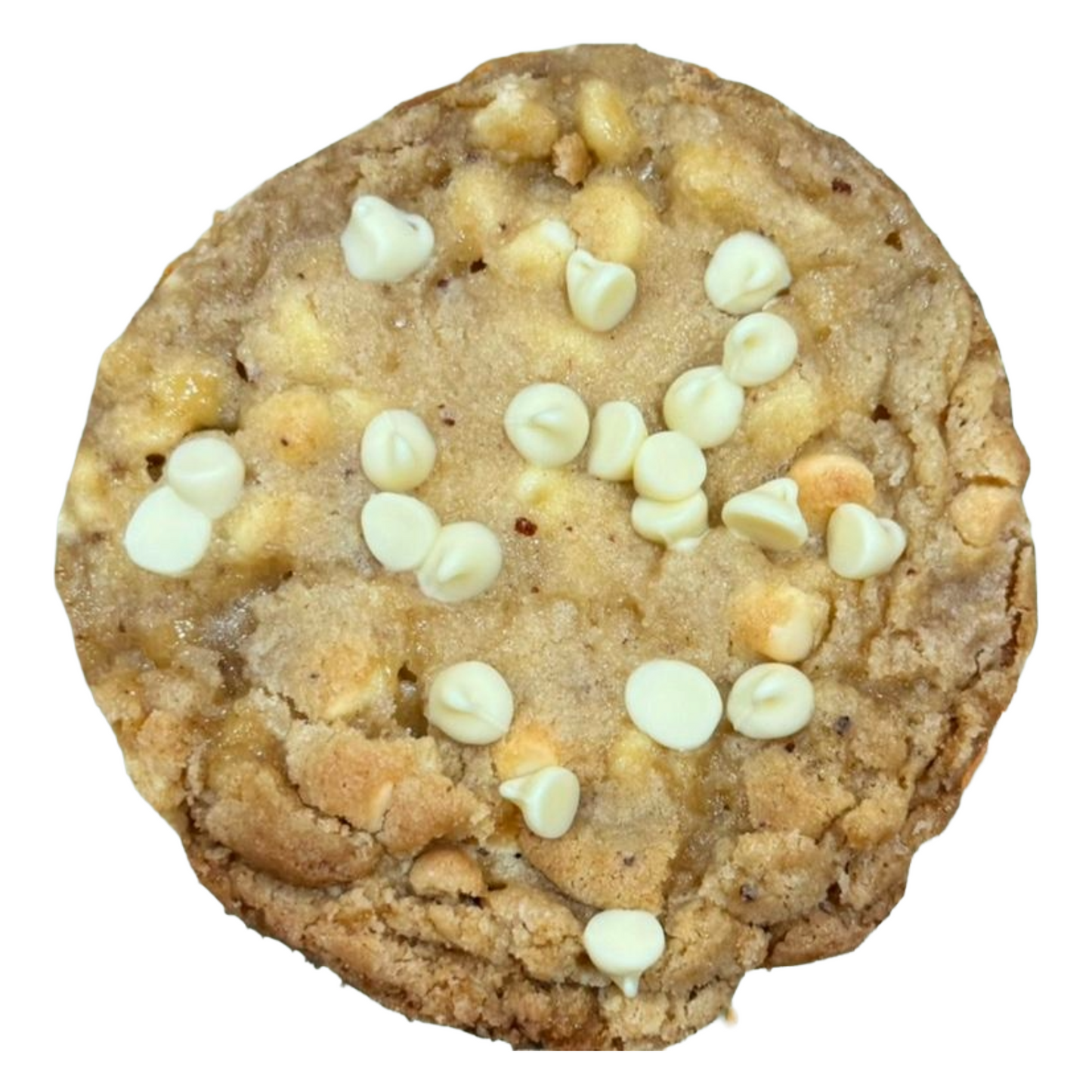Gluten Free - White Chocolate Chip Cookie